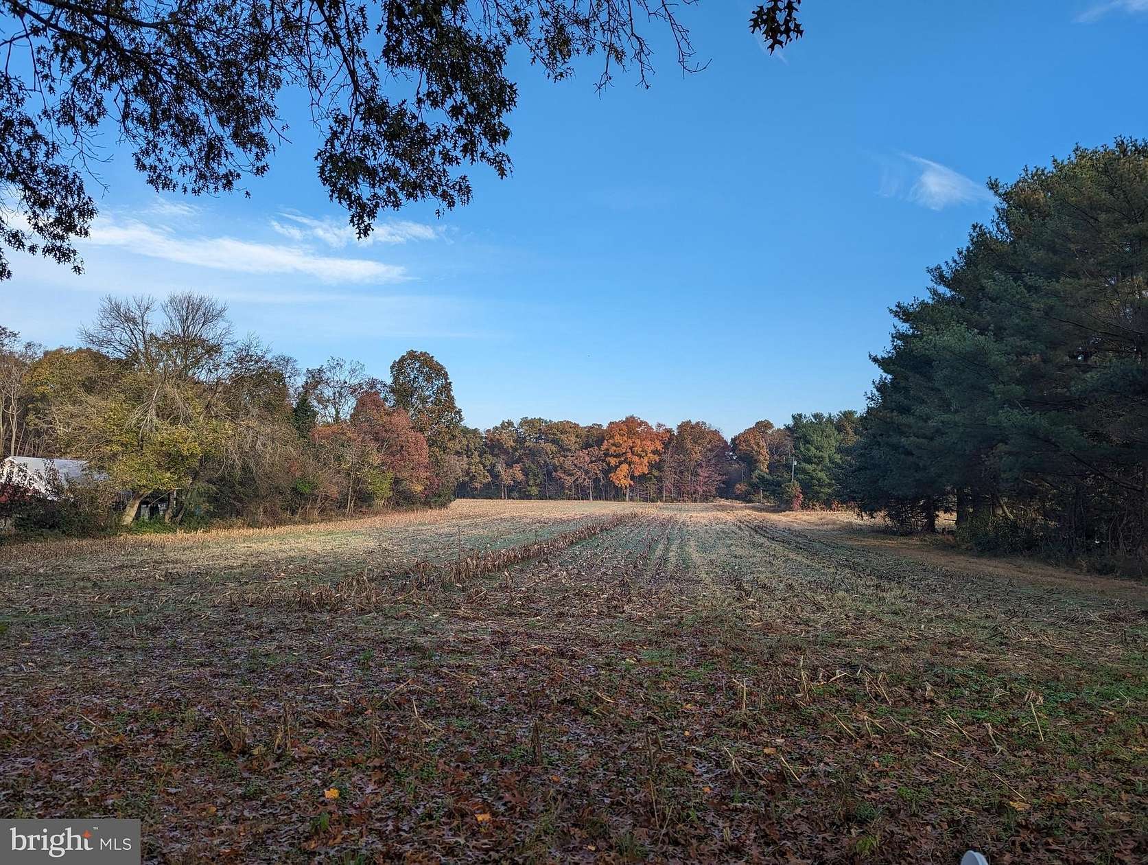 10.29 Acres of Land for Sale in Vineland, New Jersey