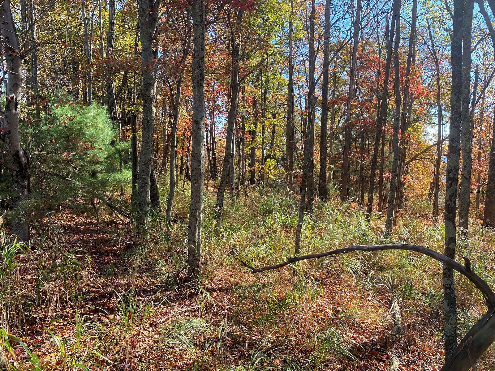 0.68 Acres of Residential Land for Sale in Traphill, North Carolina