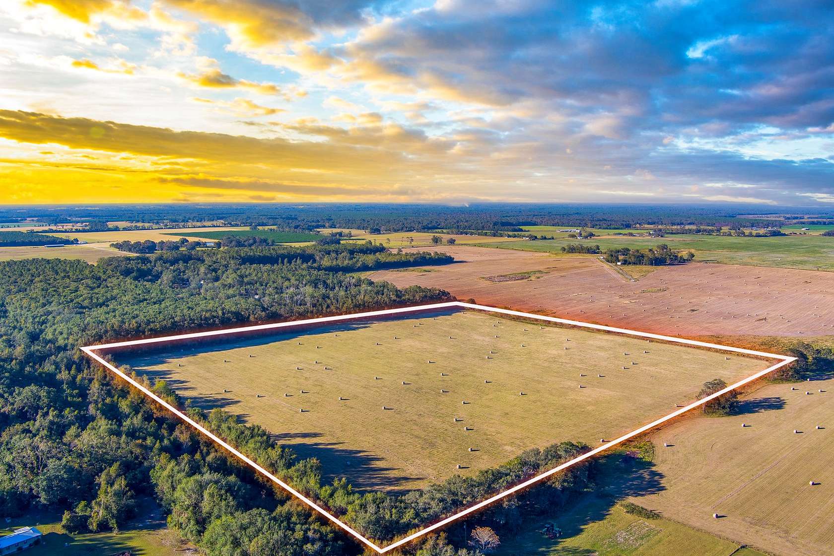 40 Acres of Land for Sale in Live Oak, Florida