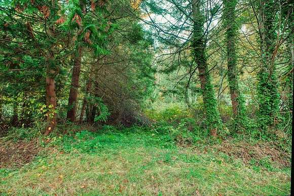 0.19 Acres of Residential Land for Sale in Point Roberts, Washington