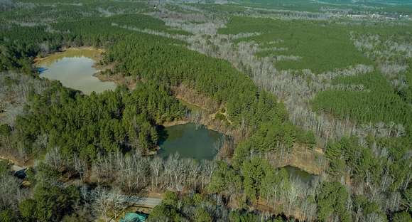 162 Acres of Land for Sale in Brilliant, Alabama