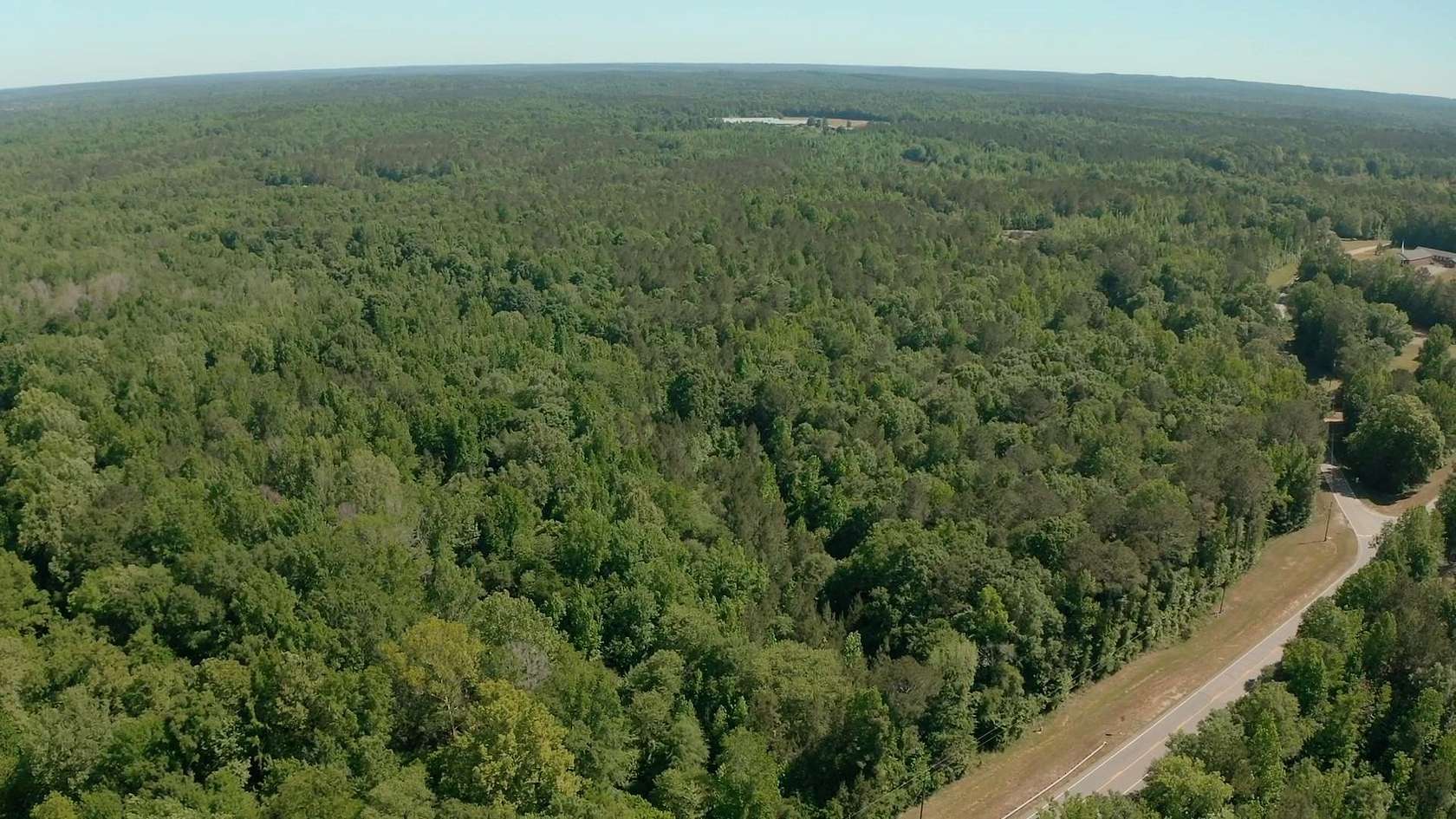 16.6 Acres of Land for Sale in Roberta, Georgia