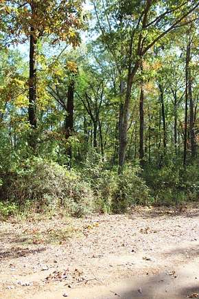 0.34 Acres of Residential Land for Sale in Hemphill, Texas
