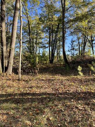 Residential Land for Sale in Spruce, Michigan