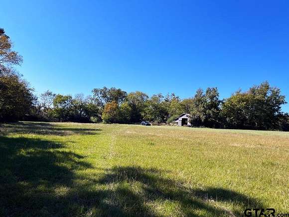 28.5 Acres of Agricultural Land with Home for Sale in Winnsboro, Texas