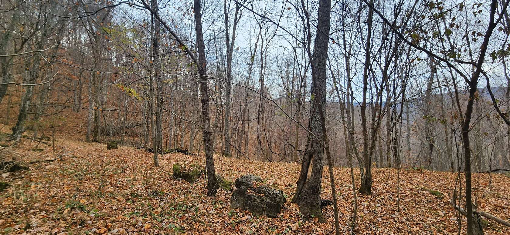 9 Acres of Land for Sale in Hillsboro, West Virginia