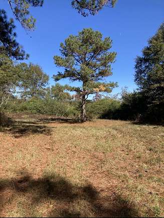 9.9 Acres of Residential Land for Sale in Red Level, Alabama