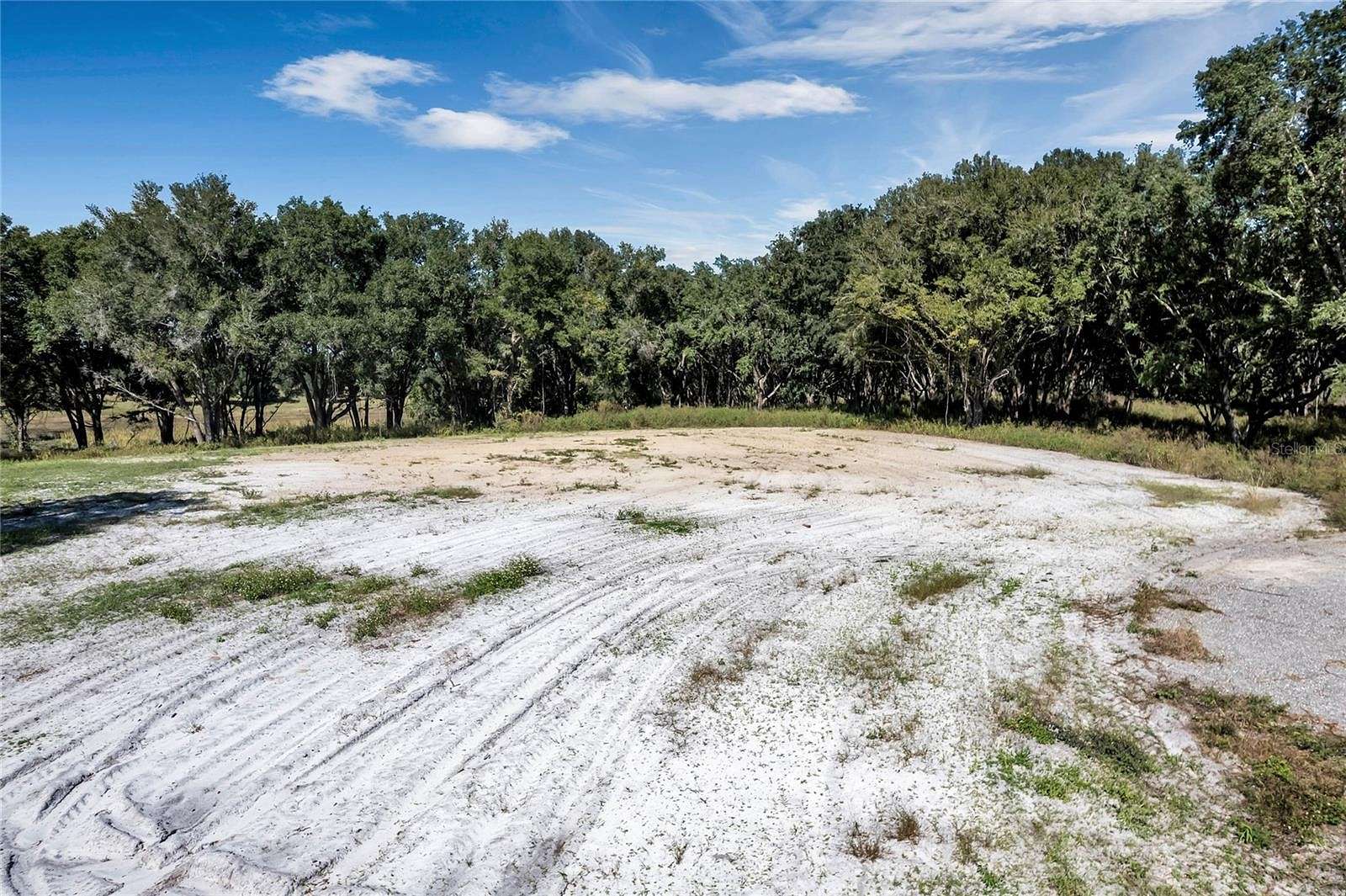 94.9 Acres of Agricultural Land for Sale in Umatilla, Florida