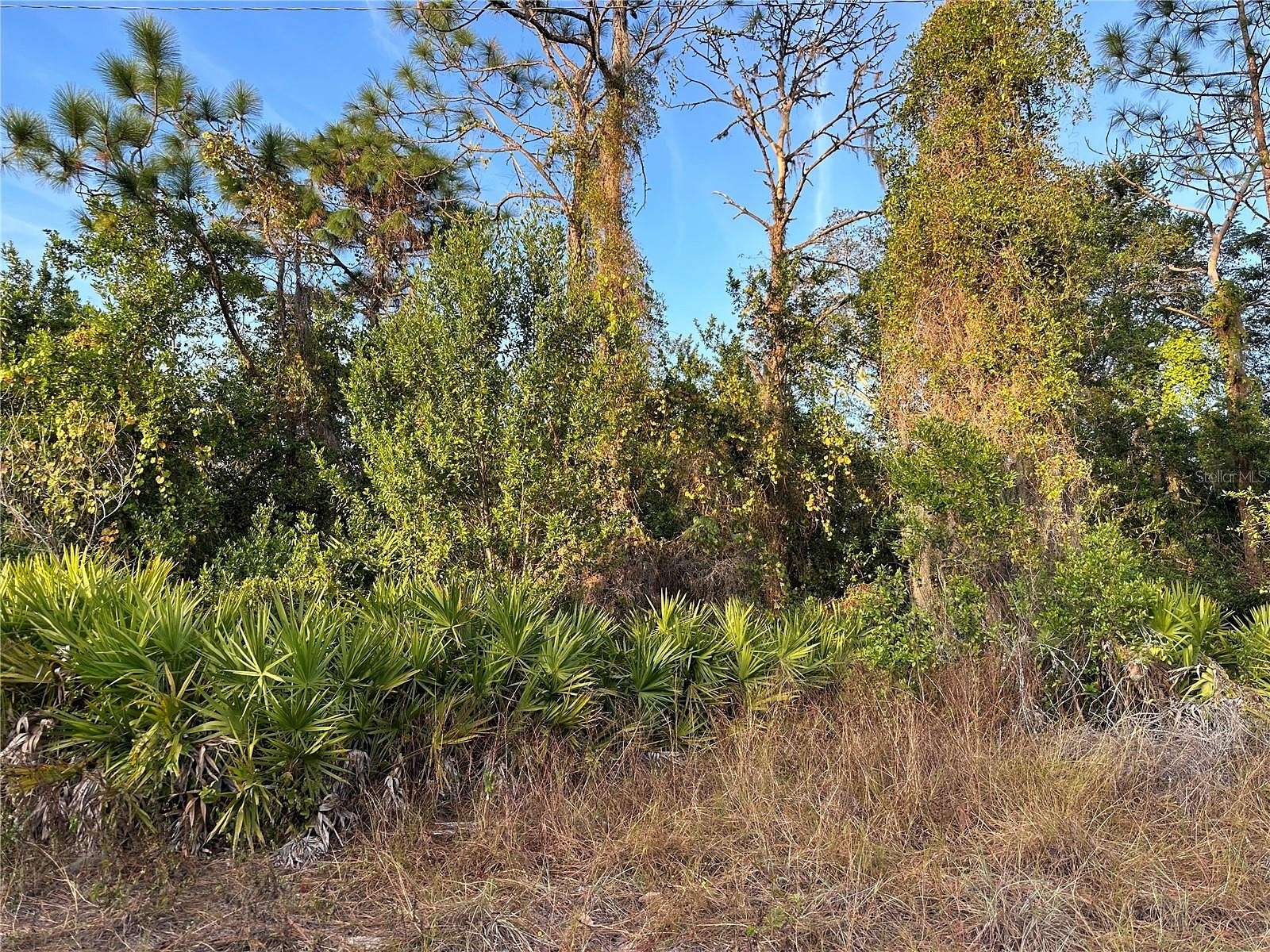 0.18 Acres of Land for Sale in New Port Richey, Florida