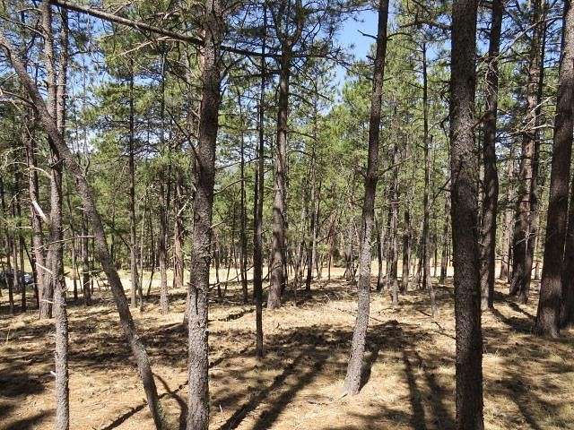 0.78 Acres of Residential Land for Sale in Angel Fire, New Mexico