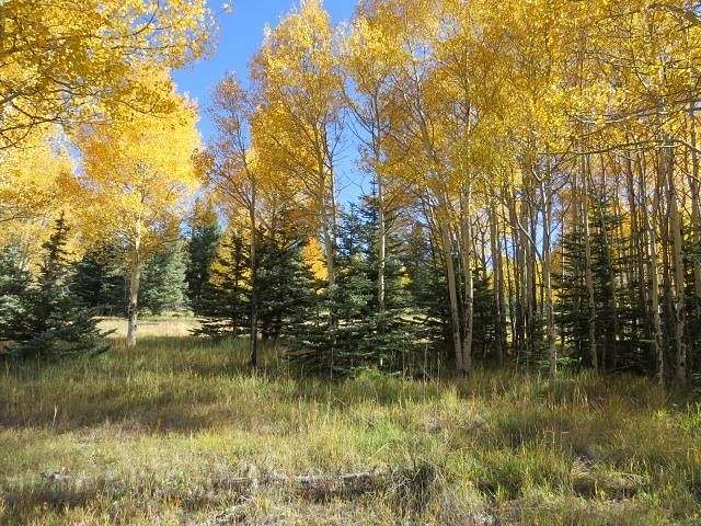 2.4 Acres of Residential Land for Sale in Angel Fire, New Mexico