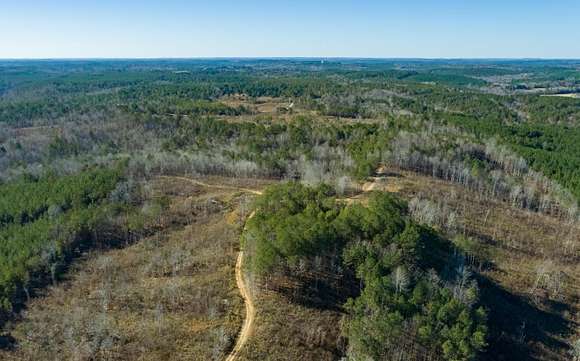 277 Acres of Land for Sale in Lynn, Alabama