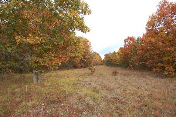 30.6 Acres of Land for Sale in Lone Rock, Wisconsin