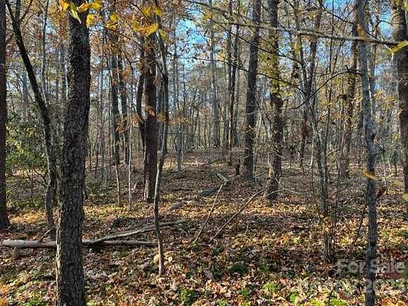 76.1 Acres of Land for Sale in Mill Spring, North Carolina
