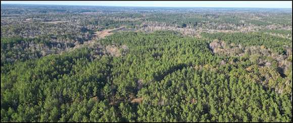 187 Acres of Recreational Land & Farm for Sale in Lexington, Mississippi