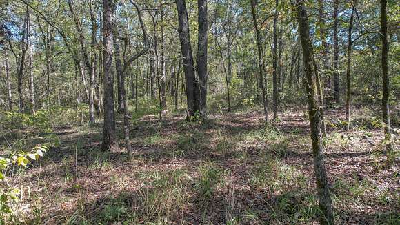 234 Acres of Recreational Land for Sale in Cookville, Texas