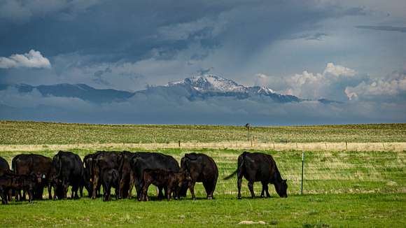 3,430 Acres of Recreational Land & Farm for Sale in Colorado Springs, Colorado