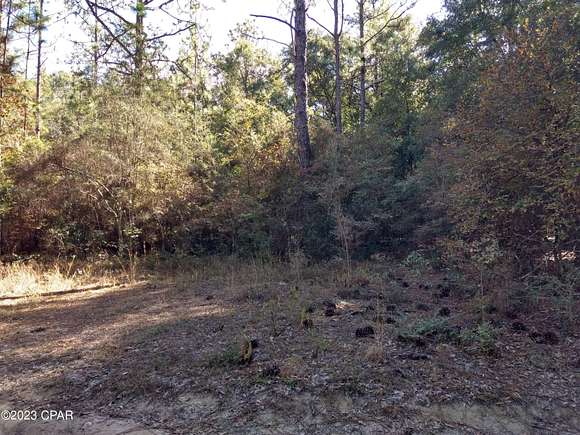 0.7 Acres of Residential Land for Sale in Bonifay, Florida