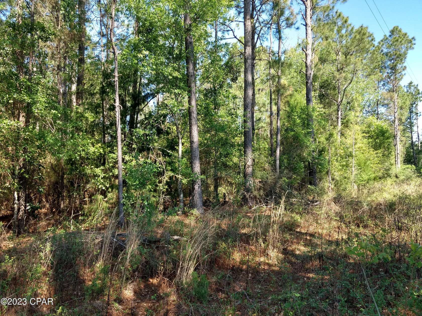 1.25 Acres of Residential Land for Sale in Bonifay, Florida