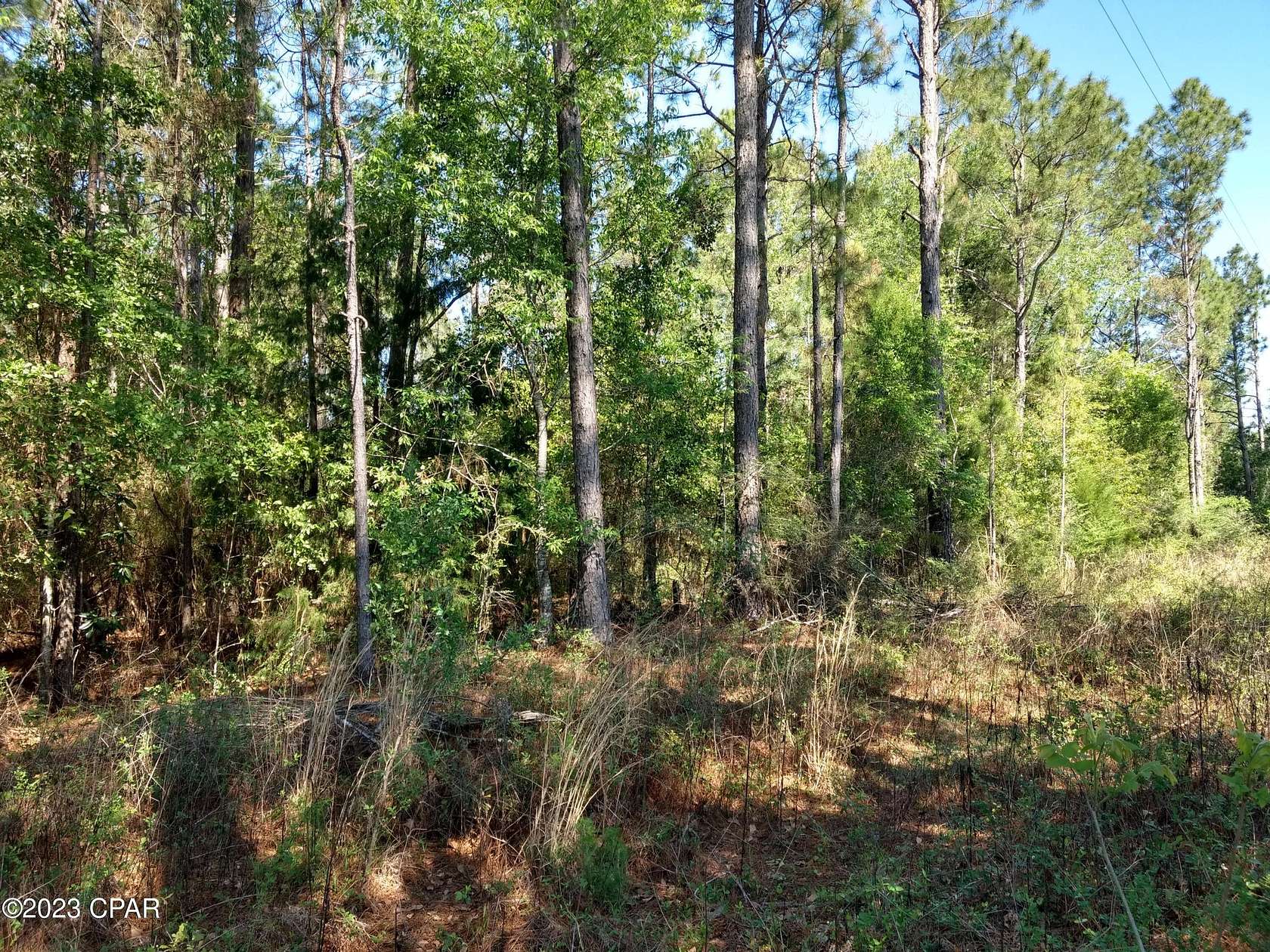 1.25 Acres of Land for Sale in Bonifay, Florida