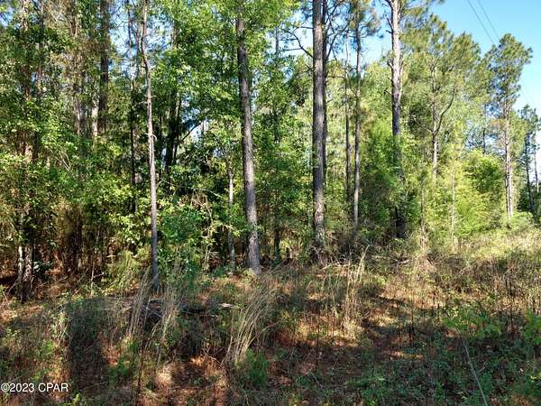 1.25 Acres of Land for Sale in Bonifay, Florida