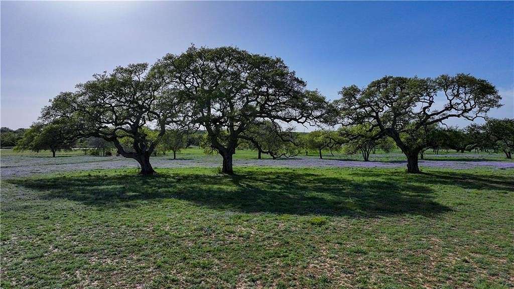40 Acres of Land for Sale in Beeville, Texas