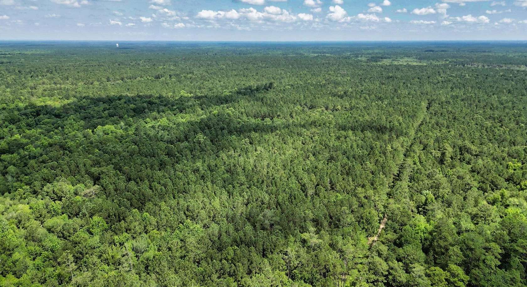 14 Acres of Land for Sale in Huger, South Carolina