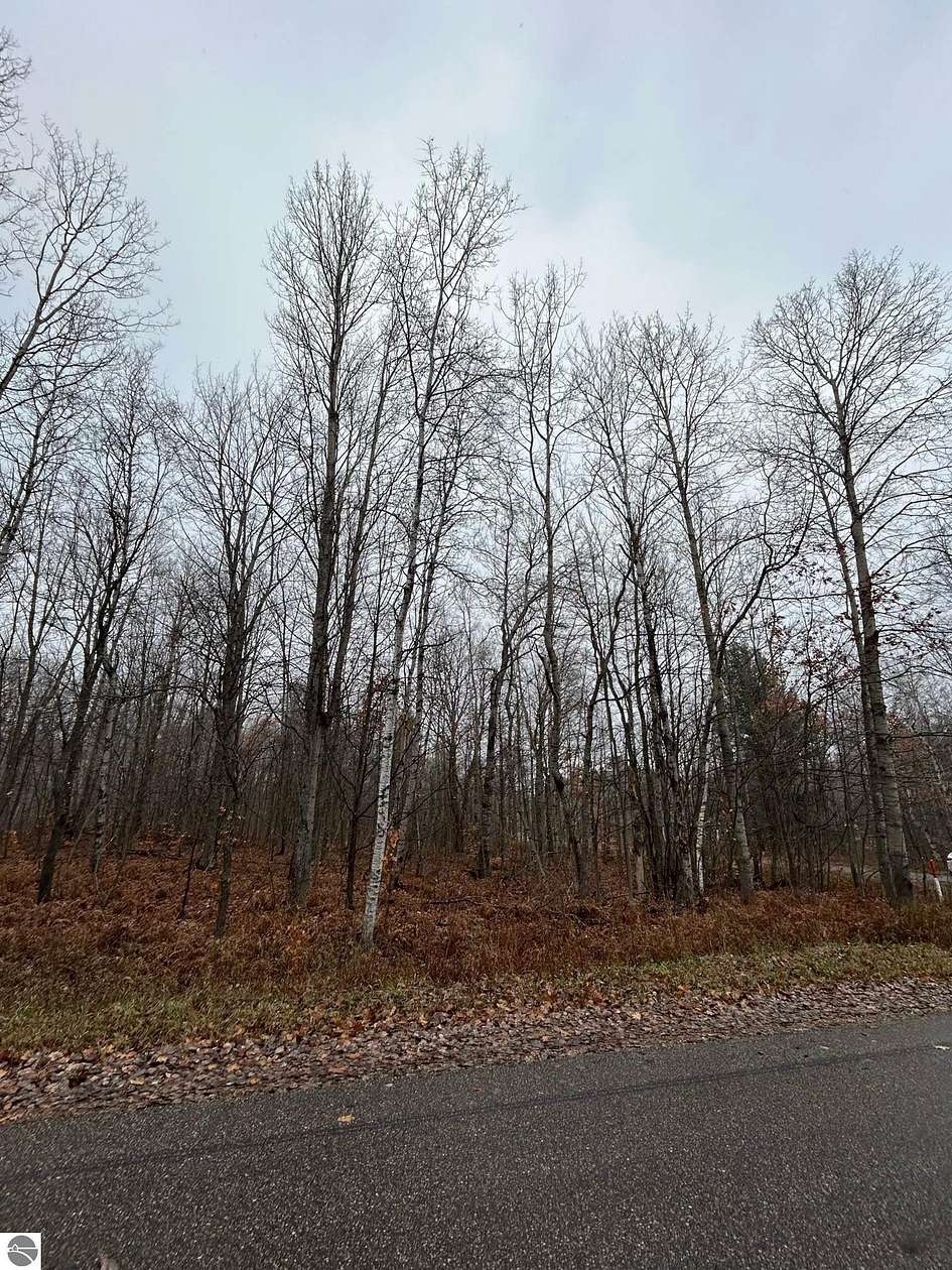0.5 Acres of Residential Land for Sale in Elmira, Michigan