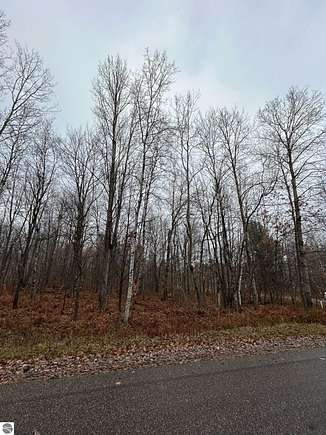0.5 Acres of Residential Land for Sale in Elmira, Michigan