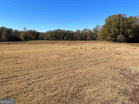 69 Acres of Agricultural Land for Sale in Summerville, Georgia