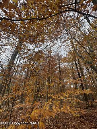 0.39 Acres of Residential Land for Sale in Pocono Lake, Pennsylvania