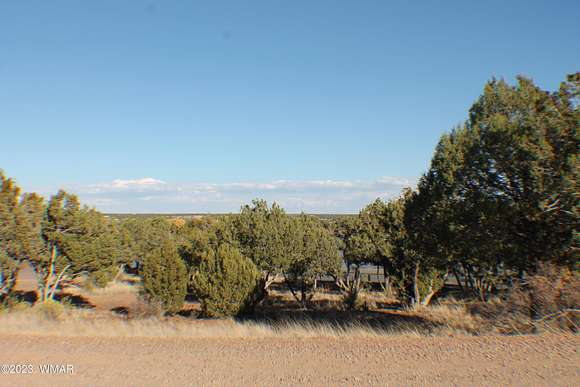 0.21 Acres of Residential Land for Sale in White Mountain Lake, Arizona