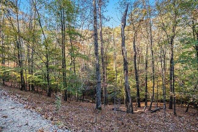 0.51 Acres of Residential Land for Sale in Ellijay, Georgia