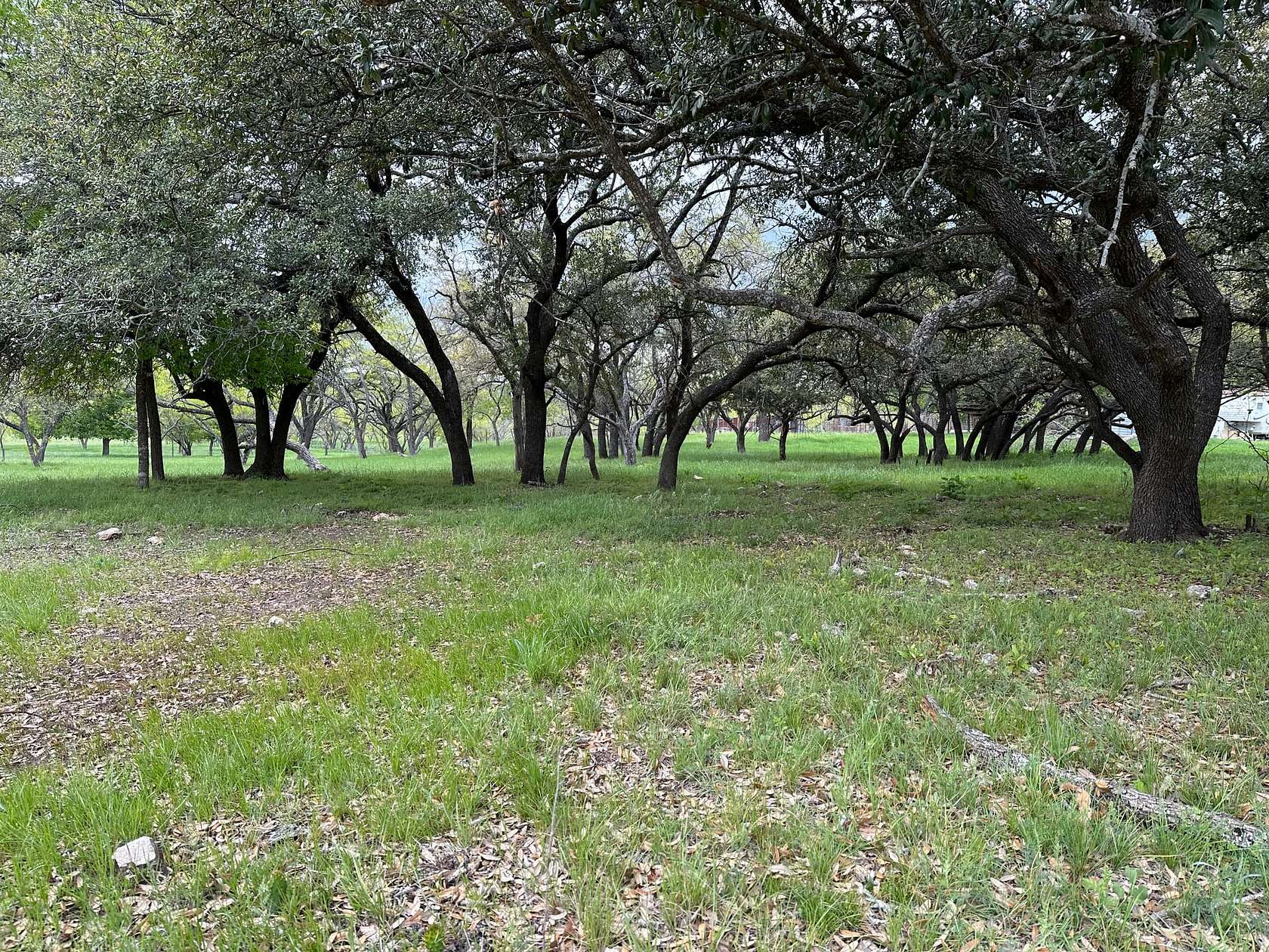 18 Acres of Recreational Land for Sale in Lampasas, Texas