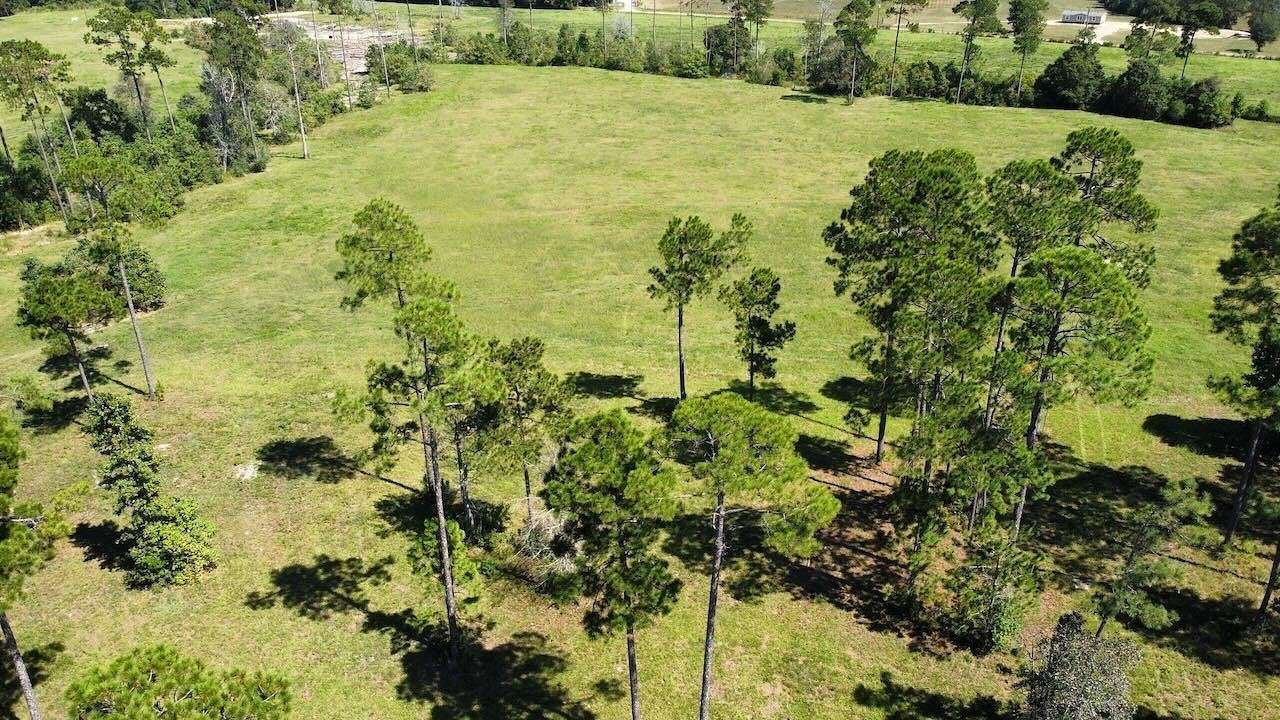 10 Acres of Residential Land for Sale in Kountze, Texas