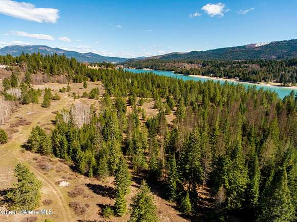 52.9 Acres of Agricultural Land for Sale in Priest River, Idaho