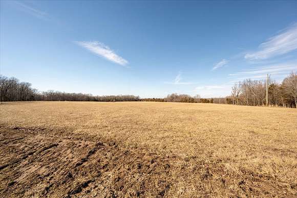 10 Acres of Residential Land for Sale in Fordland, Missouri