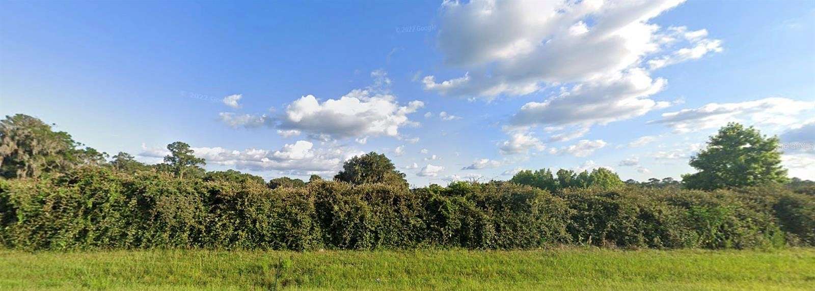 0.31 Acres of Residential Land for Sale in Williston, Florida