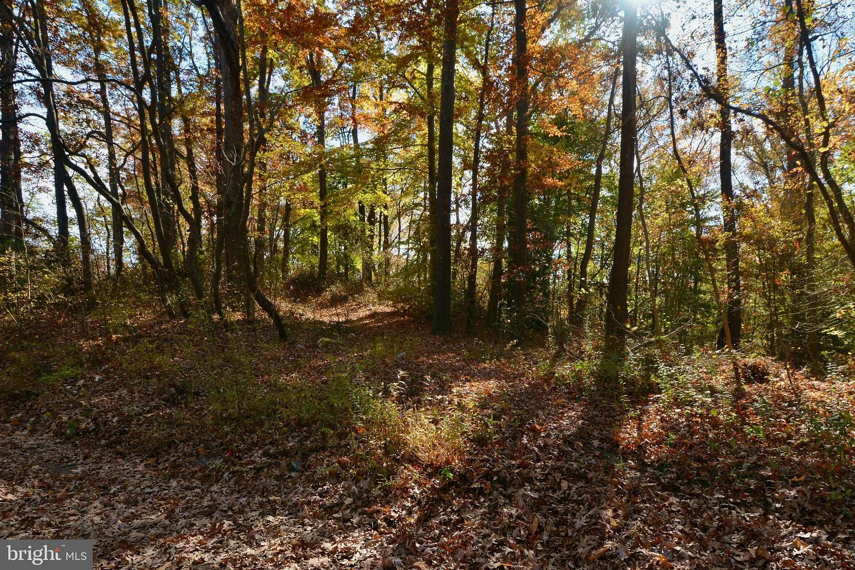 3 Acres of Land for Sale in Mount Holly, New Jersey