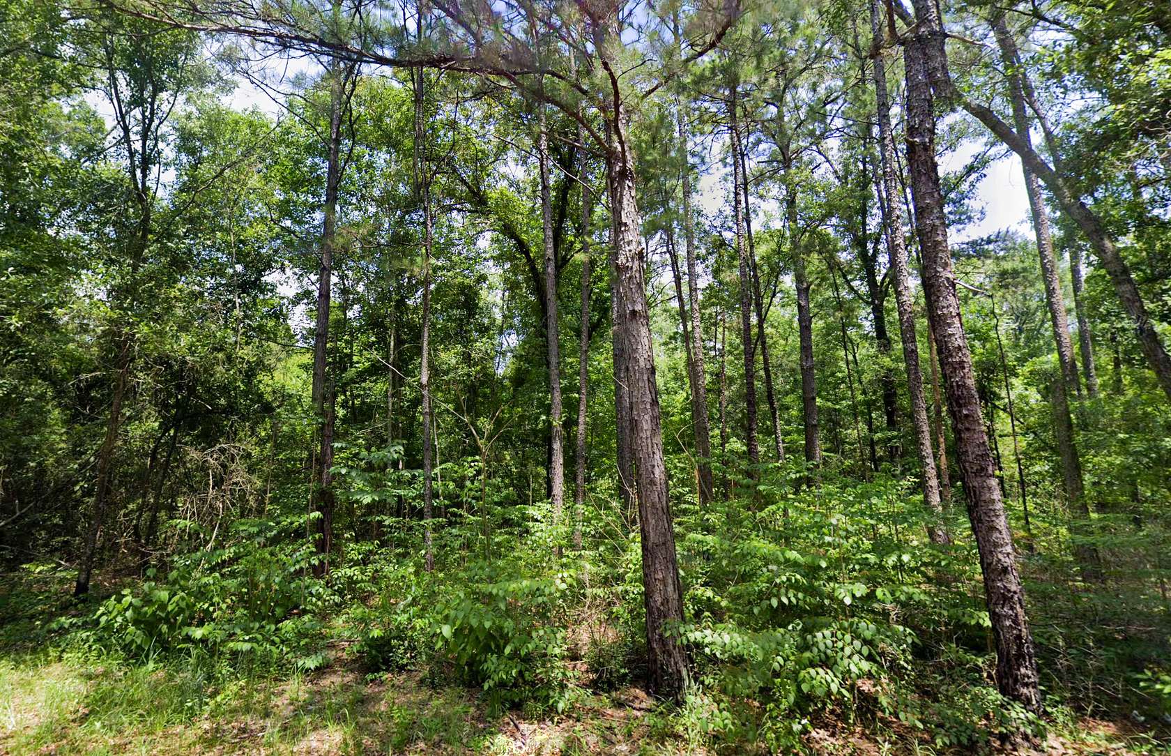 2.1 Acres of MixedUse Land for Sale in Angie, Louisiana LandSearch