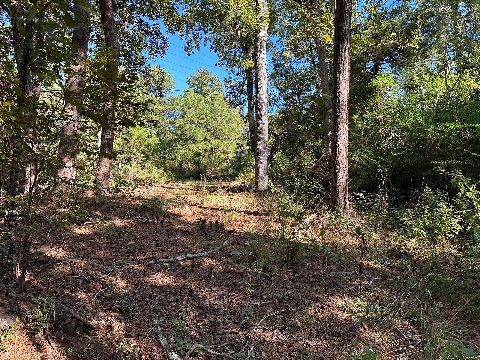 2 Acres of Residential Land for Sale in Rusk, Texas