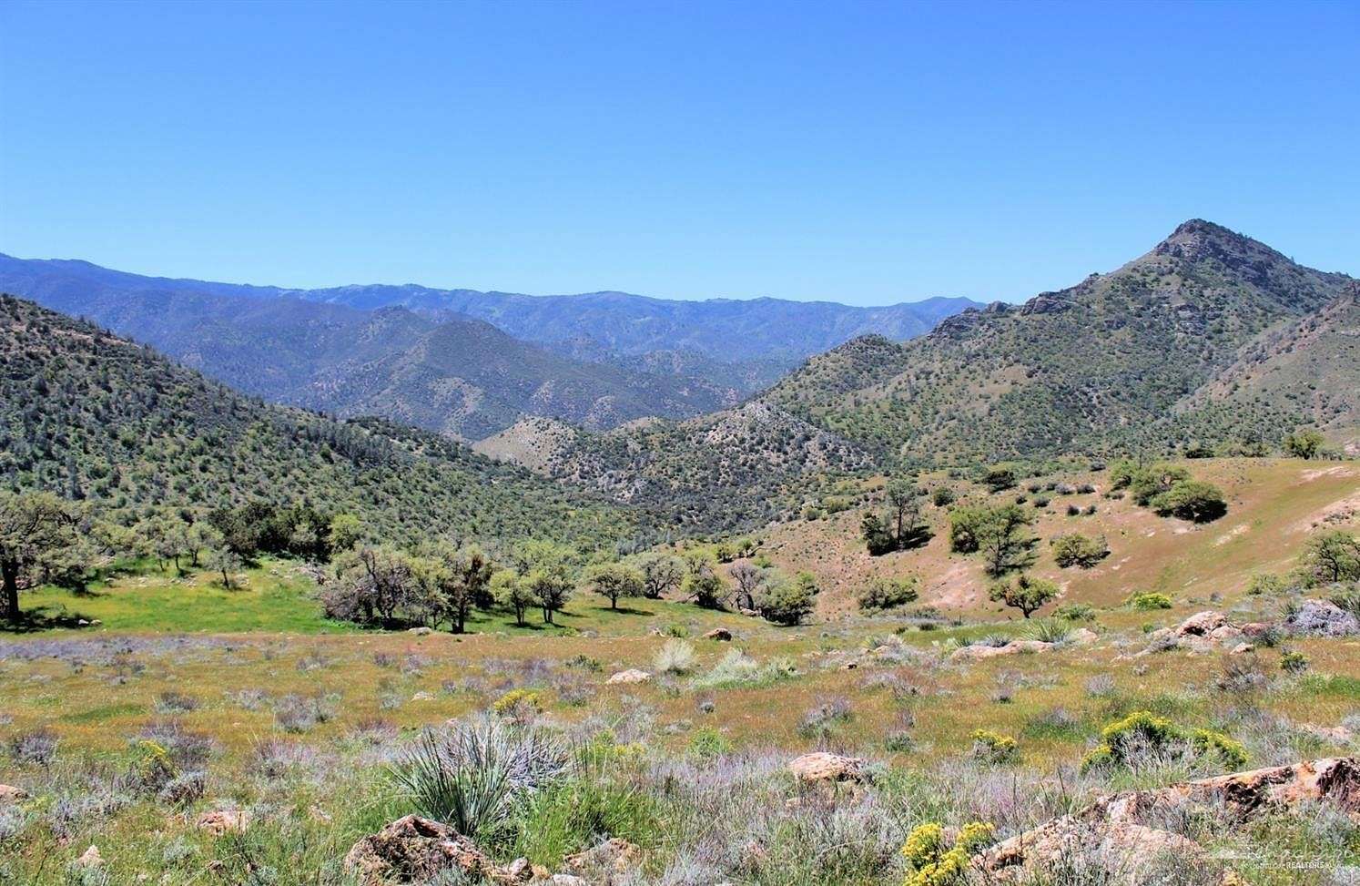 20 Acres of Recreational Land & Farm for Sale in Caliente, California