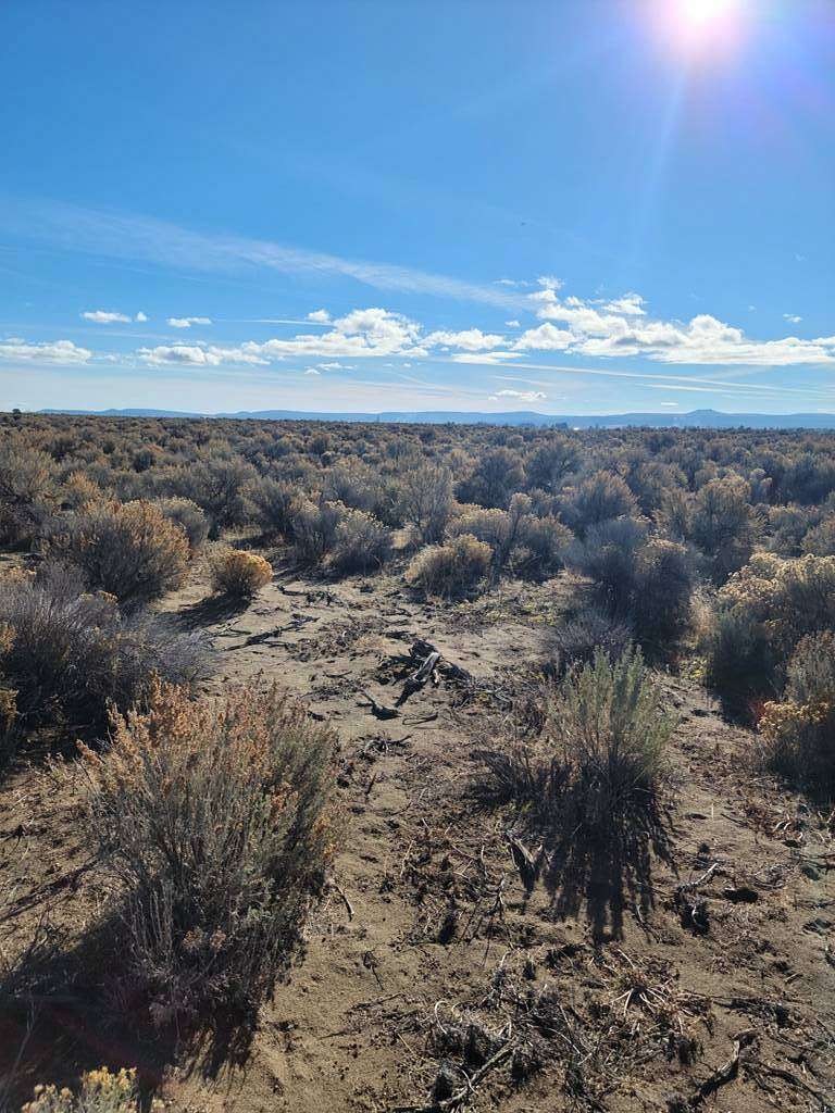 20 Acres of Land for Sale in Christmas Valley, Oregon
