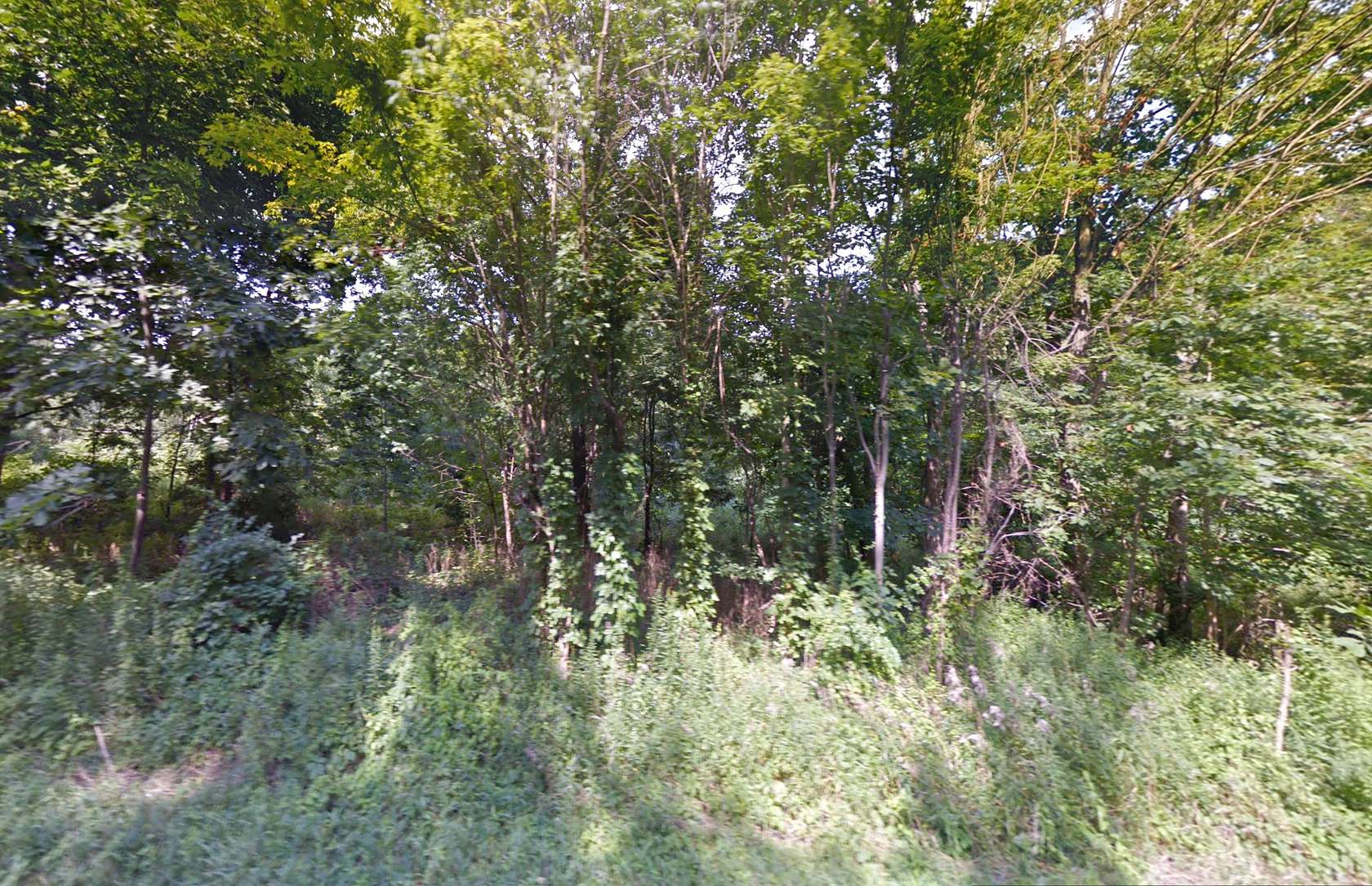 5.1 Acres of Residential Land for Sale in Beloit, Ohio LandSearch