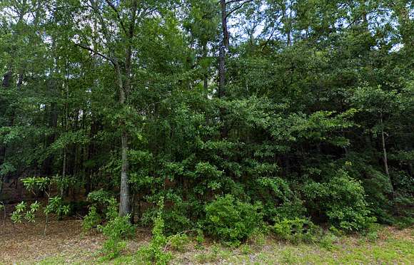 2.8 Acres of Residential Land for Sale in Gaston, South Carolina