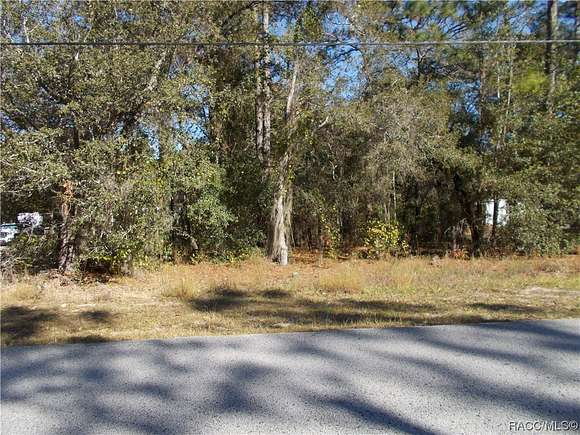 0.96 Acres of Residential Land for Sale in Hernando, Florida