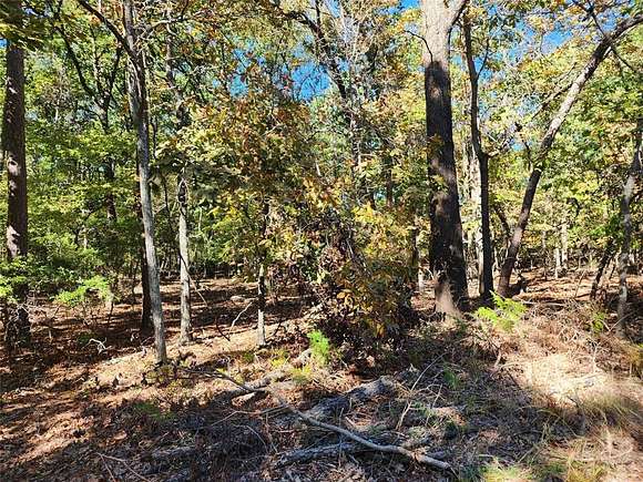 0.43 Acres of Residential Land for Sale in Scroggins, Texas