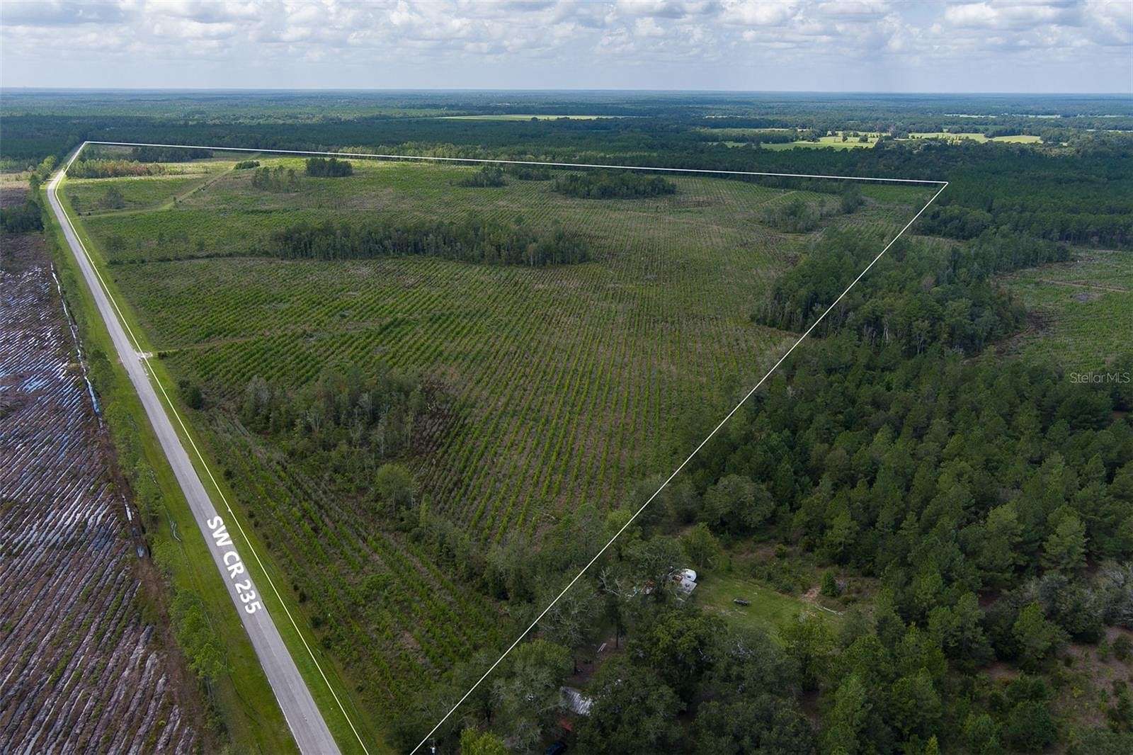 241 Acres of Agricultural Land for Sale in Lake Butler, Florida