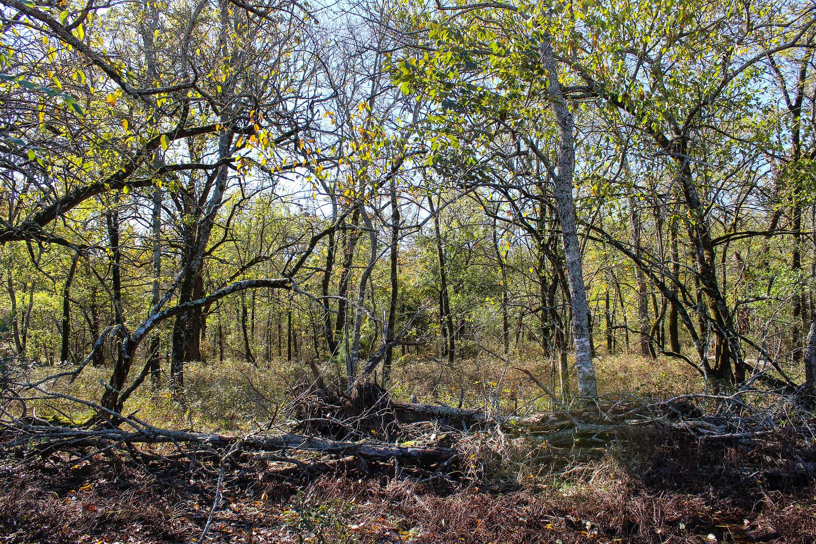 580 Acres of Recreational Land & Farm for Sale in Stringtown, Oklahoma