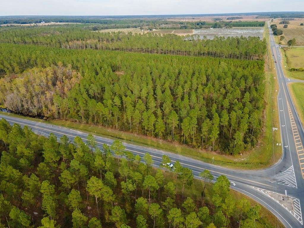 22.8 Acres of Mixed-Use Land for Sale in Lakeland, Georgia